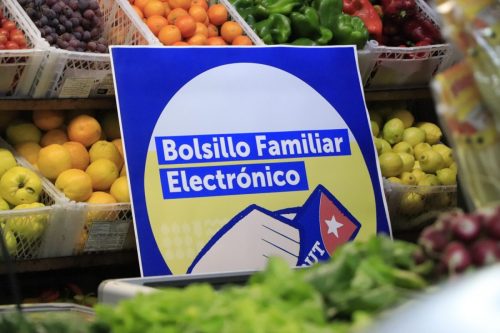 Bolsillo Familiar Electrónico reactivado: revisa el monto que entrega esta semana el beneficio