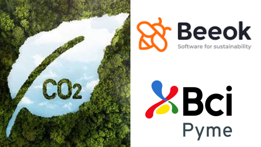 Impulsando la sostenibilidad: la alianza entre BCI y BeeOk para reducir la huella de carbono en pymes