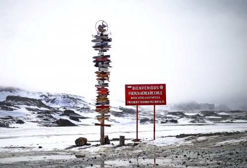 Chile es sede del evento mundial más importante sobre ciencia Antártica