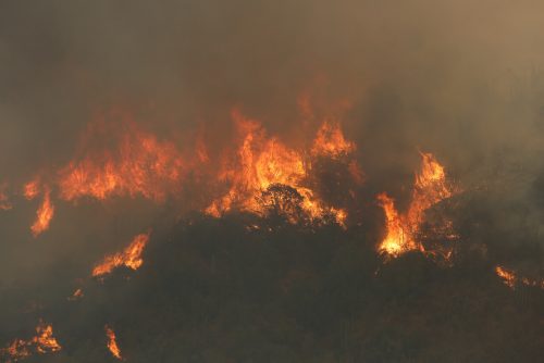 Emergencia climática por incendios en Brasil: más de 20 municipios en el Amazonas enfrentan focos activos