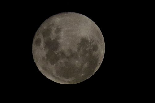 Luna Azul de agosto: revisa cuándo y cómo ver este fenómeno astronómico