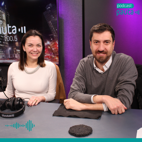 Sebastián Cerda y Natalia Aránguiz sobre las posibilidades y pronóstico de crecimiento que maneja el mercado