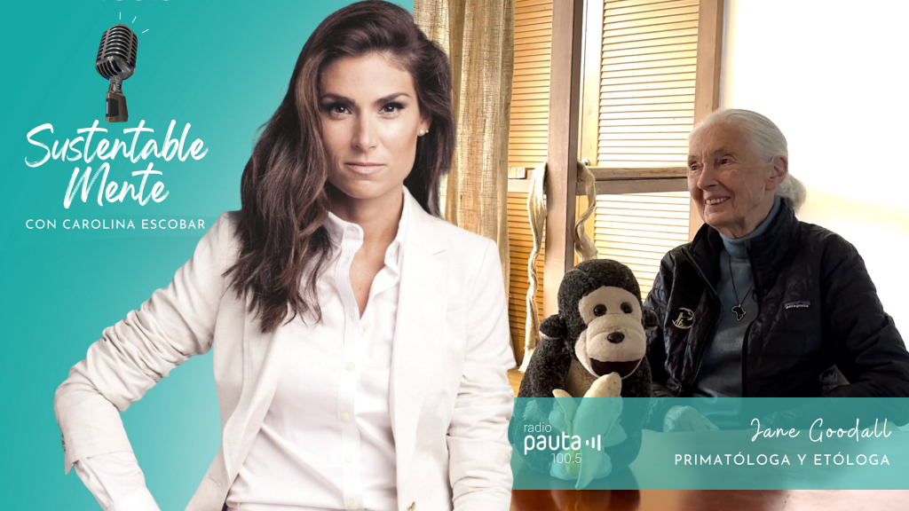Revive la entrevista a Jane Goodall: Su misión y vida en la naturaleza