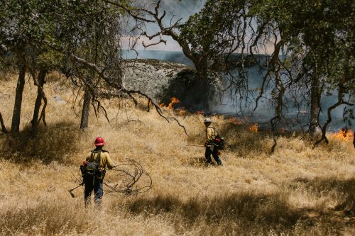 La nueva campaña de (WWF) con narraciones deportivas combinadas con imágenes reales de fenómenos climáticos