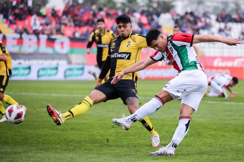 Dónde ver en VIVO y qué canal transmite Palestino vs. Coquimbo Unido por el Campeonato Nacional