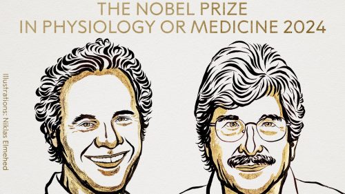 Victor Ambros y Gary Ruvkun son los nuevos ganadores al Premio Nobel de Medicina