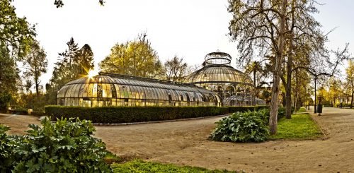 Invernadero de Quinta Normal: un lujo histórico que volverá en gloria y majestad