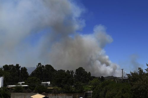 Por gran incendio forestal: Senapred declara Alerta Roja en Quilpué