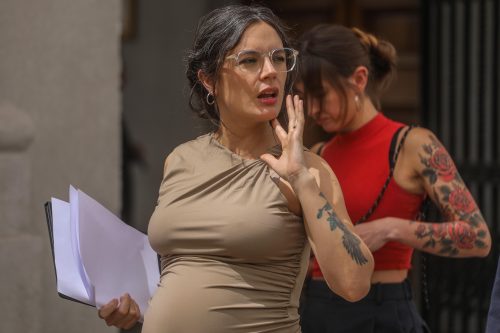 Ministra Camila Vallejo antes de iniciar su prenatal: "Quiero decir y reiterar que voy y vuelvo"