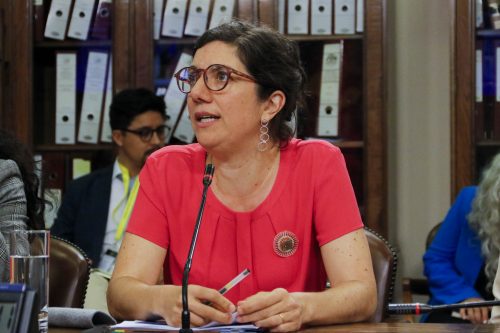 Gobierno designa a ministra de Ciencias, Aisén Etcheverry, como vocera en reemplazo de Camila Vallejo