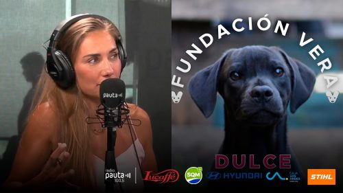 Directora de Fundación Vera: “La esterilización es lo único que frena el abandono de perros no deseados”