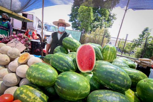 Vive la Expo Paine Rural 2025 este 10, 11 y 12 de enero con la invitada especial del verano, la sandía