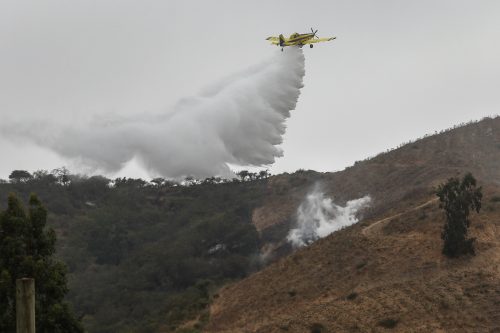 Conaf anuncia cierre de parques nacionales entre Coquimbo y La Araucanía por este fin de semana