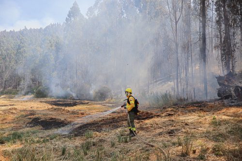 Detienen a mujer que habría causado el incendio en Los Sauces donde murieron tres brigadistas