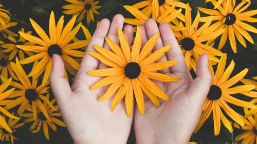 Red Floral: el marketplace que digitaliza e innova la industria de las florerías