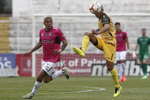 Coquimbo Unido vs. Palestino: dónde ver en vivo y online por la fecha 12 de la Liga de Primera del fútbol chileno