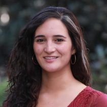 Investigadora de Idea País por suspensión de PAIG: 