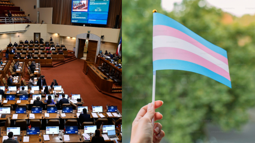 Cámara aprueba informe que lapida programa de acompañamiento a menores trans