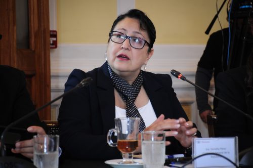 Contralora anuncia que se investigarán eventuales licencias falsas en Carabineros y el Ejército