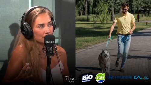Etóloga clínica asegura que "tener patio no reemplaza el paseo" de nuestras mascotas