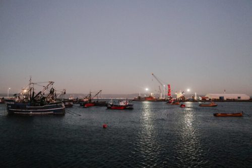 Desactivan alerta por tsunami en la Región de Magallanes pero se mantiene estado de precaución