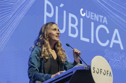 Sofofa llama a un consenso nacional para generar un “shock” de inversión en Chile