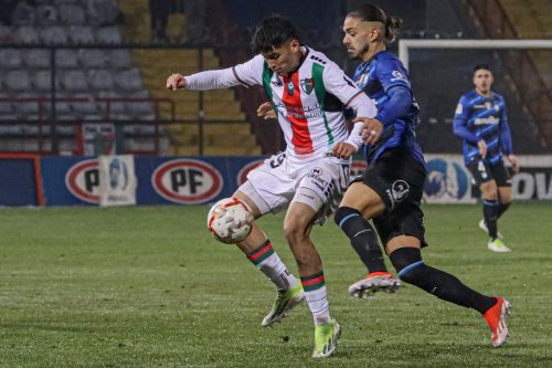 Huachipato vs. Palestino: dónde ver en vivo y online por la fecha 15 de la Liga de Primera del fútbol chileno