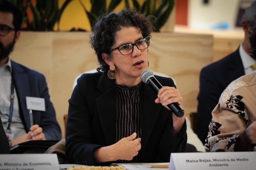 Consejo de Ministros aprueba compromiso de Chile con la ONU por el cambio climático