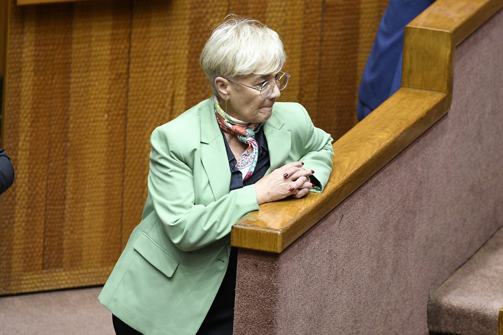 Senadora Ebensperger retrasa votación de ley de SADP: Coke Hevia acusa "una maniobra de lobby"