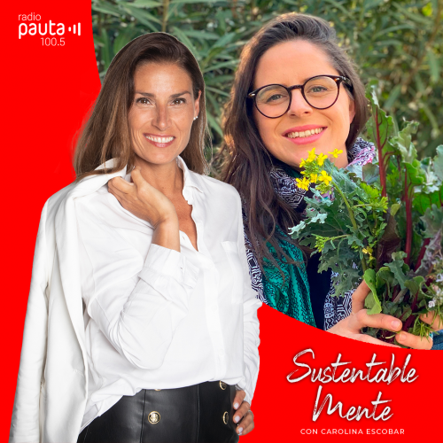 Especial Haciendo: Francisca Amenábar - Una vida sustentable desde lo cotidiano