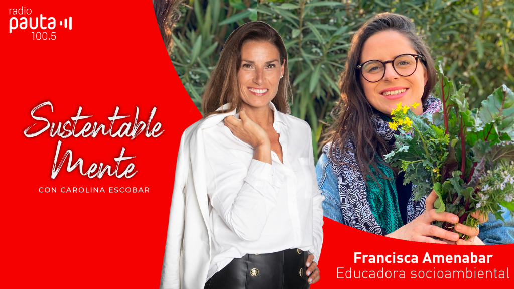 Especial Haciendo: Francisca Amenábar - Una vida sustentable desde lo cotidiano