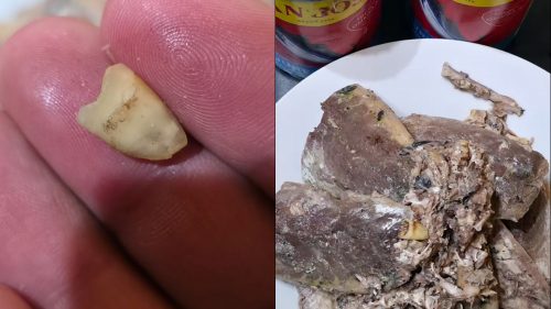 Joven denuncia que encontró supuesto diente en tarro de jurel: acusa a empresa de ofrecerle $5 mil de compensación
