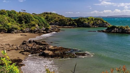 Leonardio DiCaprio anuncia que isla Guafo en Chiloé podría ser donada al gobierno para convertirla en un parque nacional
