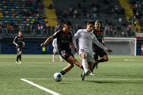 Audax Italiano vs. Palestino: dónde ver en vivo y online por la fecha 18 de la Liga de Primera del fútbol chileno