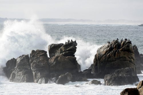 Alerta de Tsunami en Chile: ¿a qué hora y dónde llegarían las olas del terremoto en Rusia?