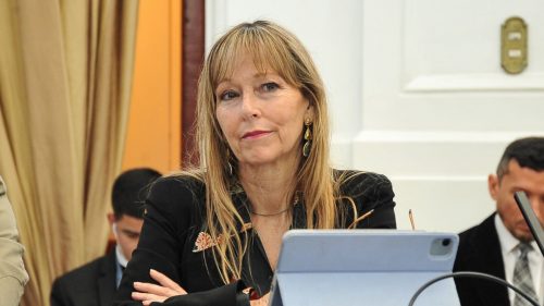 Por qué la diputada Gazmuri evalúa una querella contra Kast