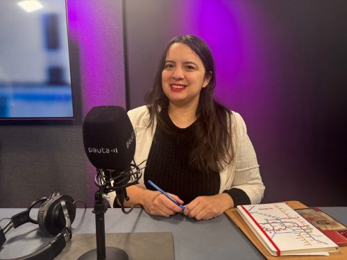 Licencias: Javiera Martínez (Dipres) anuncia proyecto de ley para combatir ausentismo de funcionarios públicos