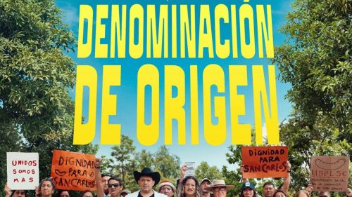 Cómo verla: película chilena 