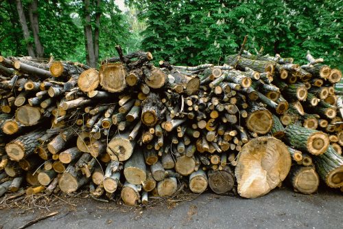 Sobregiro ecológico de 2025 es calificado como "la deuda más grande de la historia"