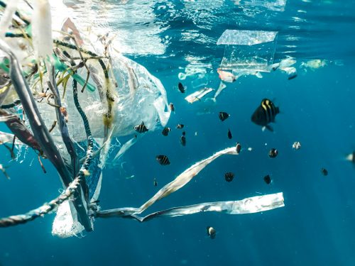 Corte Internacional de La Haya respalda clamor de justicia ambiental de las islas del Pacífico