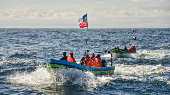 Armada reporta naufragio de lancha en Magallanes: iban cuatro tripulantes a bordo
