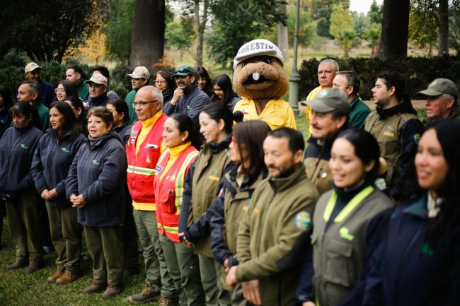 Ministerio de Agricultura y Conaf abren convocatoria para brigadistas forestales: aumentan requisitos psicológicos