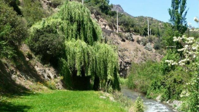 Estero del Arrayán se transforma en un nuevo humedal protegido de la Región Metropolitana