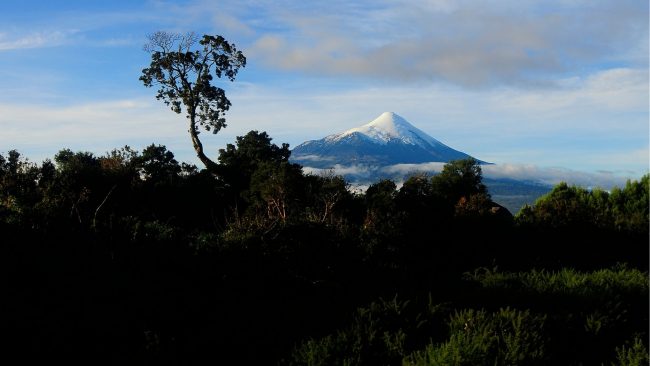 RedLAC 2025: Chile será sede de la cumbre global de fondos ambientales