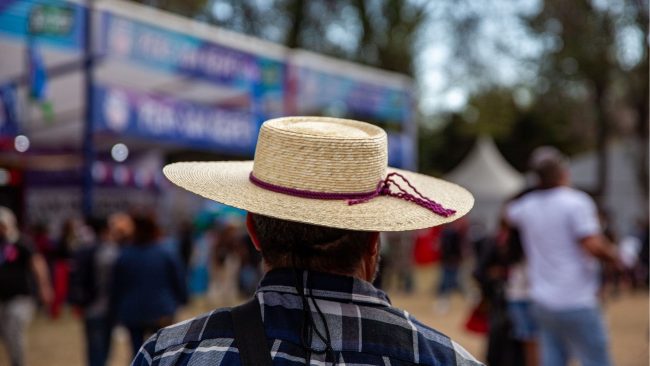Salud mental en Fiestas Patrias: recomendaciones para evitar la tristeza, ansiedad o presión social en el 18