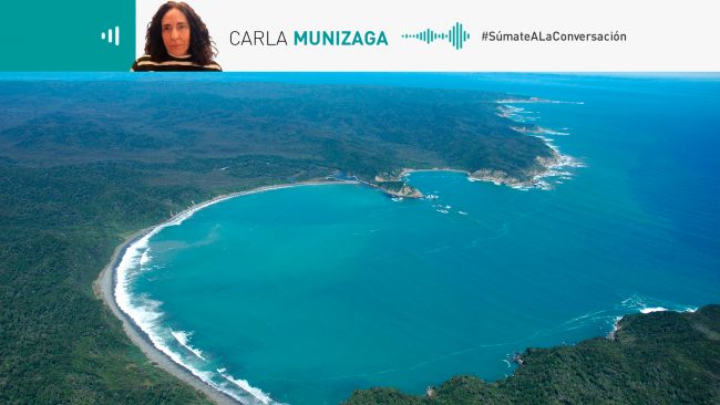 Columna de Carla Munizaga: "El poder de la sociedad civil en la conservación ambiental"