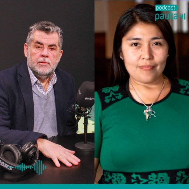 "Boric no quiere terminar su Gobierno diciendo que no puso en valor el tema de la seguridad": Ubilla sobre reforma para proteger las fronteras