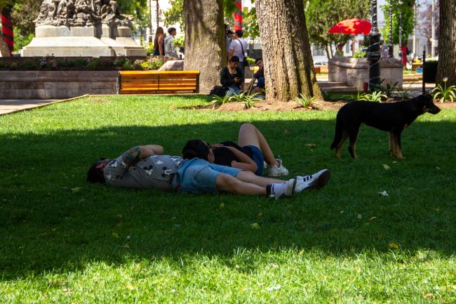 Olas de calor pueden aumentar hasta 87% la tasa de accidentes laborales: Mutual de Seguridad llama a la protección en el trabajo al aire libre