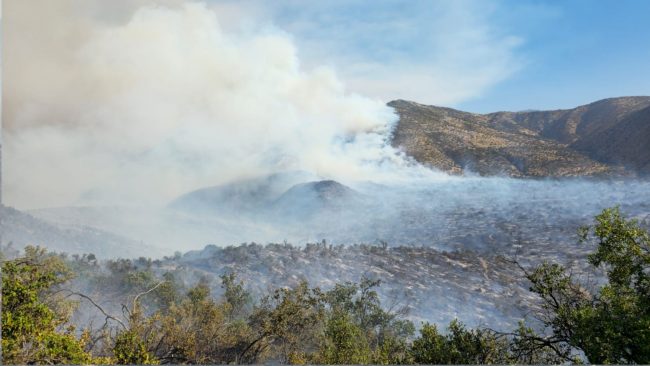 Incendio forestal en Las Condes sigue activo y ya afecta cerca de 800 hectáreas