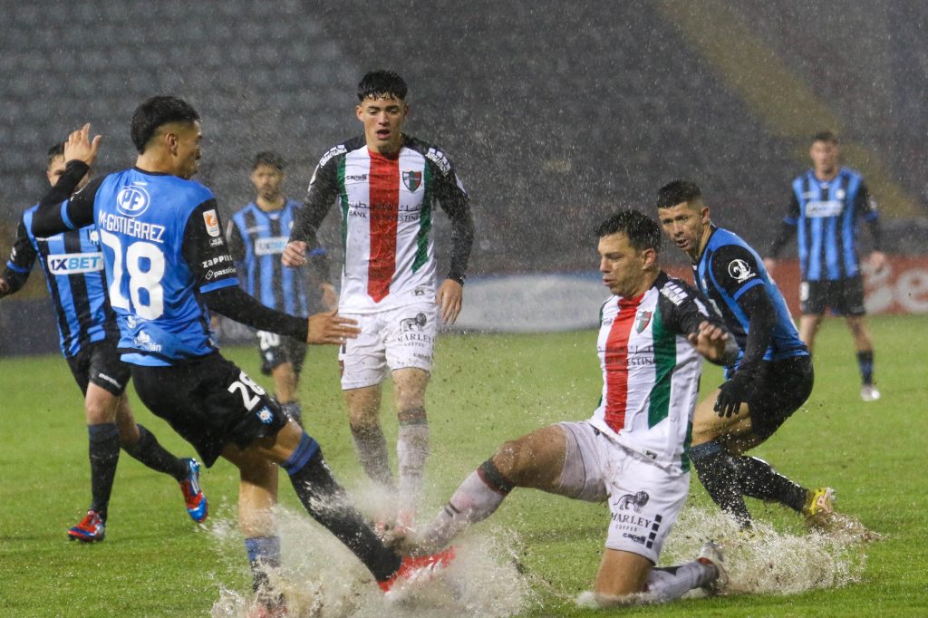 Palestino vs. Huachipato: dónde ver en VIVO y online la fecha 30 del Campeonato Nacional